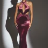 Adriana Velvet Halter Neck Maxi Dress in Wine