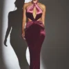 Adriana Velvet Halter Neck Maxi Dress in Wine