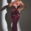 Adriana Velvet Halter Neck Maxi Dress in Wine