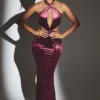 Adriana Velvet Halter Neck Maxi Dress in Wine