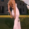 Aldona Slinky Jersey Floral-Appliqué&nbsp;Gown in Blush