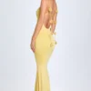 Aldona Slinky Jersey Floral-Appliqué&nbsp;Gown in Pastel Yellow
