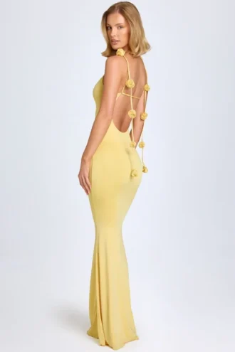 Aldona Slinky Jersey Floral-Appliqué&nbsp;Gown in Pastel Yellow