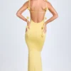 Aldona Slinky Jersey Floral-Appliqué&nbsp;Gown in Pastel Yellow