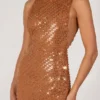 Alyssia Embellished Maxi Dress in Bronze