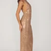 Alyssia Embellished Maxi Dress in Gold