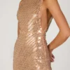 Alyssia Embellished Maxi Dress in Gold