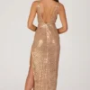 Alyssia Embellished Maxi Dress in Gold