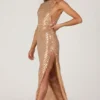 Alyssia Embellished Maxi Dress in Gold