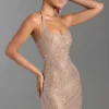 Amolika Embellished Halterneck Mini Dress in Honey