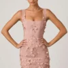 Briar Embellished Appliqué Corset Mini Dress in Dusty Rose