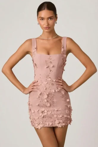 Briar Embellished Appliqué Corset Mini Dress in Dusty Rose