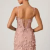 Briar Embellished Appliqué Corset Mini Dress in Dusty Rose