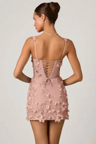 Briar Embellished Appliqué Corset Mini Dress in Dusty Rose