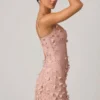 Briar Embellished Appliqué Corset Mini Dress in Dusty Rose