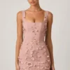 Briar Embellished Appliqué Corset Mini Dress in Dusty Rose
