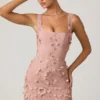 Briar Embellished Appliqué Corset Mini Dress in Dusty Rose