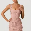 Briar Embellished Appliqué Corset Mini Dress in Dusty Rose
