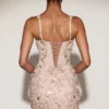 Briar Embellished Appliqué Corset Mini Dress in Pale Gold
