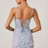 Briar Embellished Appliqué Corset Mini Dress in Sky Blue