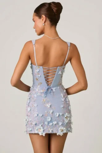Briar Embellished Appliqué Corset Mini Dress in Sky Blue