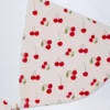 Calella Charm-Detail Triangle Bikini Top in Cherry Print