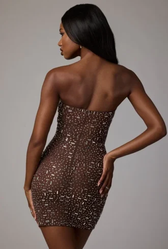 Caprice Sheer Embellished Bodycon Mini Dress in Deep Cocoa