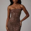 Caprice Sheer Embellished Bodycon Mini Dress in Deep Cocoa