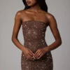 Caprice Sheer Embellished Bodycon Mini Dress in Deep Cocoa