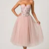 Cindy Tulle Corset Midaxi Dress in Dusty Rose