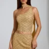 Cosette Embellished Asymmetric Scarf-Detail Top in Gold