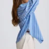 Cotton Poplin Stripe Oversized Shirt in Blue Stripe