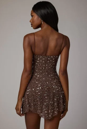 Durrani Sheer Embellished Scoop Neck Mini Dress in Deep Cocoa