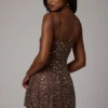 Durrani Sheer Embellished Scoop Neck Mini Dress in Deep Cocoa