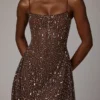 Durrani Sheer Embellished Scoop Neck Mini Dress in Deep Cocoa