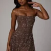 Durrani Sheer Embellished Scoop Neck Mini Dress in Deep Cocoa