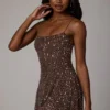 Durrani Sheer Embellished Scoop Neck Mini Dress in Deep Cocoa