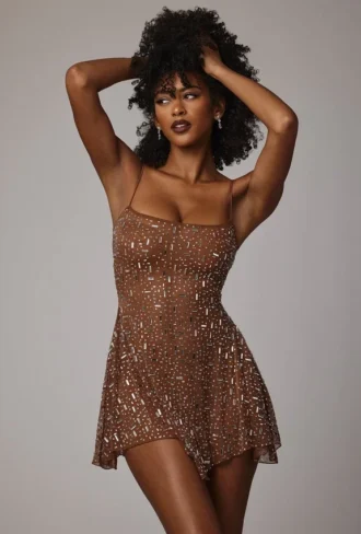 Durrani Sheer Embellished Scoop Neck Mini Dress in Mocha