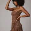 Durrani Sheer Embellished Scoop Neck Mini Dress in Mocha