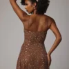 Durrani Sheer Embellished Scoop Neck Mini Dress in Mocha
