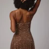 Durrani Sheer Embellished Scoop Neck Mini Dress in Mocha