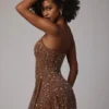 Durrani Sheer Embellished Scoop Neck Mini Dress in Mocha