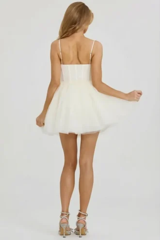 Eugenie Embellished Corset Tulle Skirt Mini Dress in White