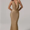 Feyre Embellished Cowl-Neck Backless Gown in Gold