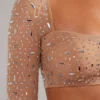 Guilia Sheer Embellished Long Sleeve Crop Top in Almond