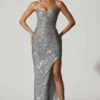 Jasella Embellished Corset Gown in Silver