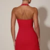 Lenore Heart-Detail Halterneck A-Line Mini Dress in Red
