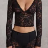 Lioren Sheer Lace Plunge-Neck Long-Sleeve Top in Black