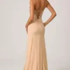 Lysana Embellished Corset Fishtail Gown in Floral Beige