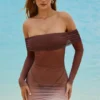 Nemba Sheer Off-Shoulder Mini Dress in Chocolate Brown